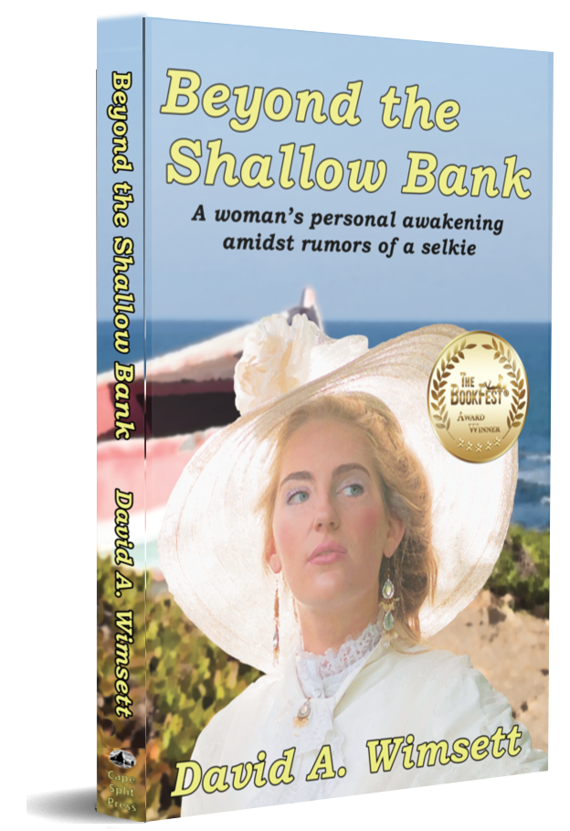 Beyond the Shallow Babnk: A novel of a woman searching for herself